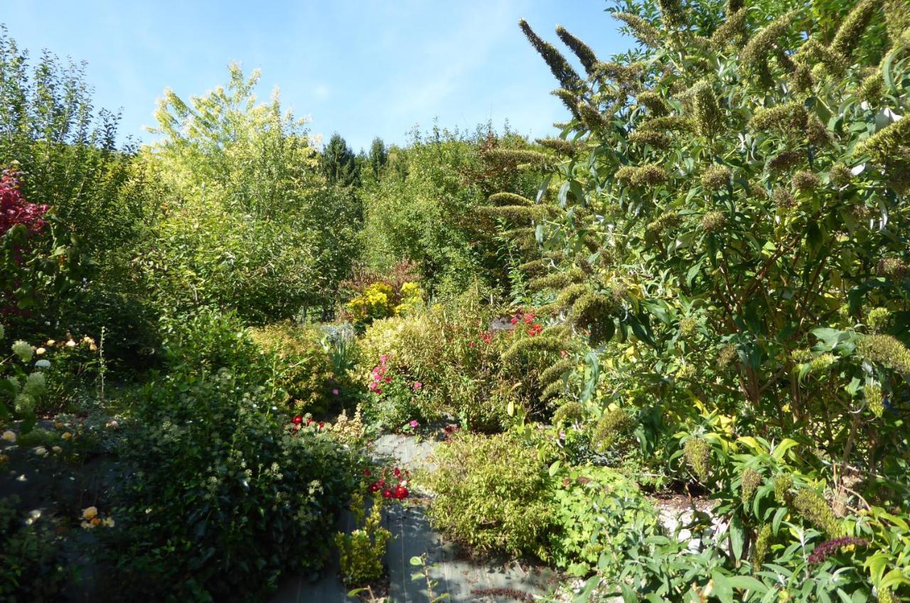Villa Dans Un Jardin Apremont-la-Foret Esterno foto